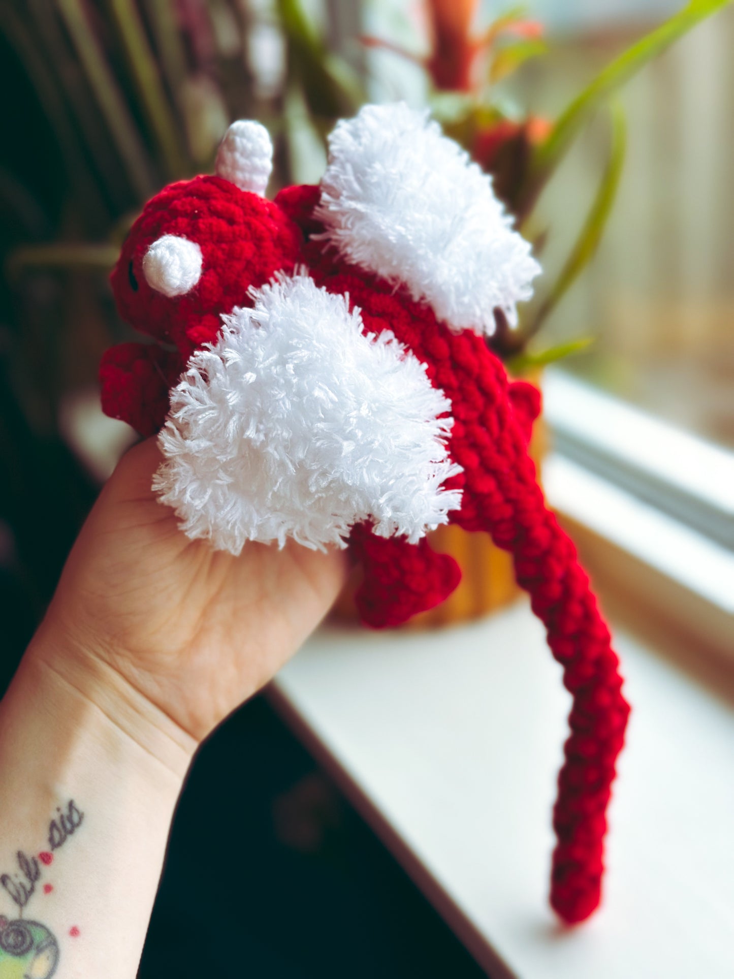 Baby Dragon Snuggler in Egg ๐