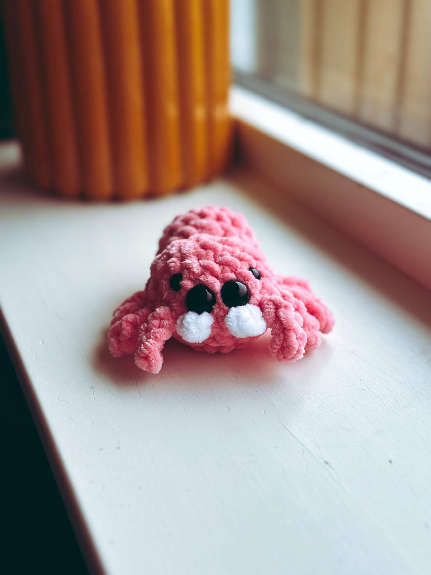 🕷️ Lil’ Bouncer – Pocket Jumping Spider