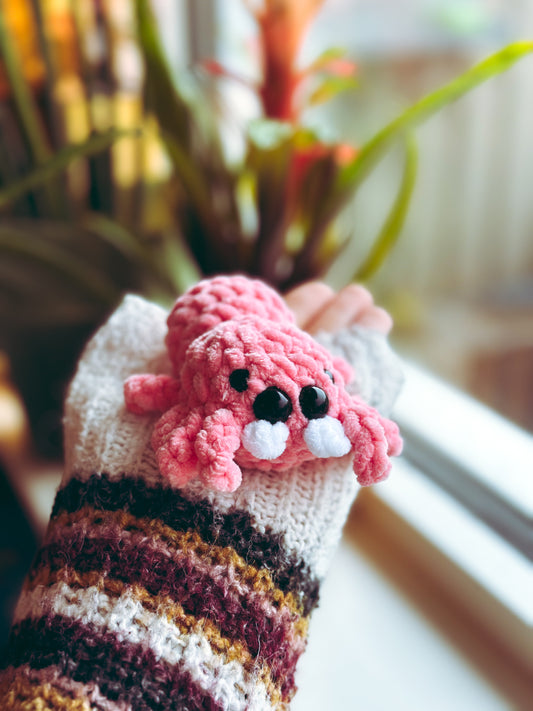 🕷️ Lil’ Bouncer – Pocket Jumping Spider