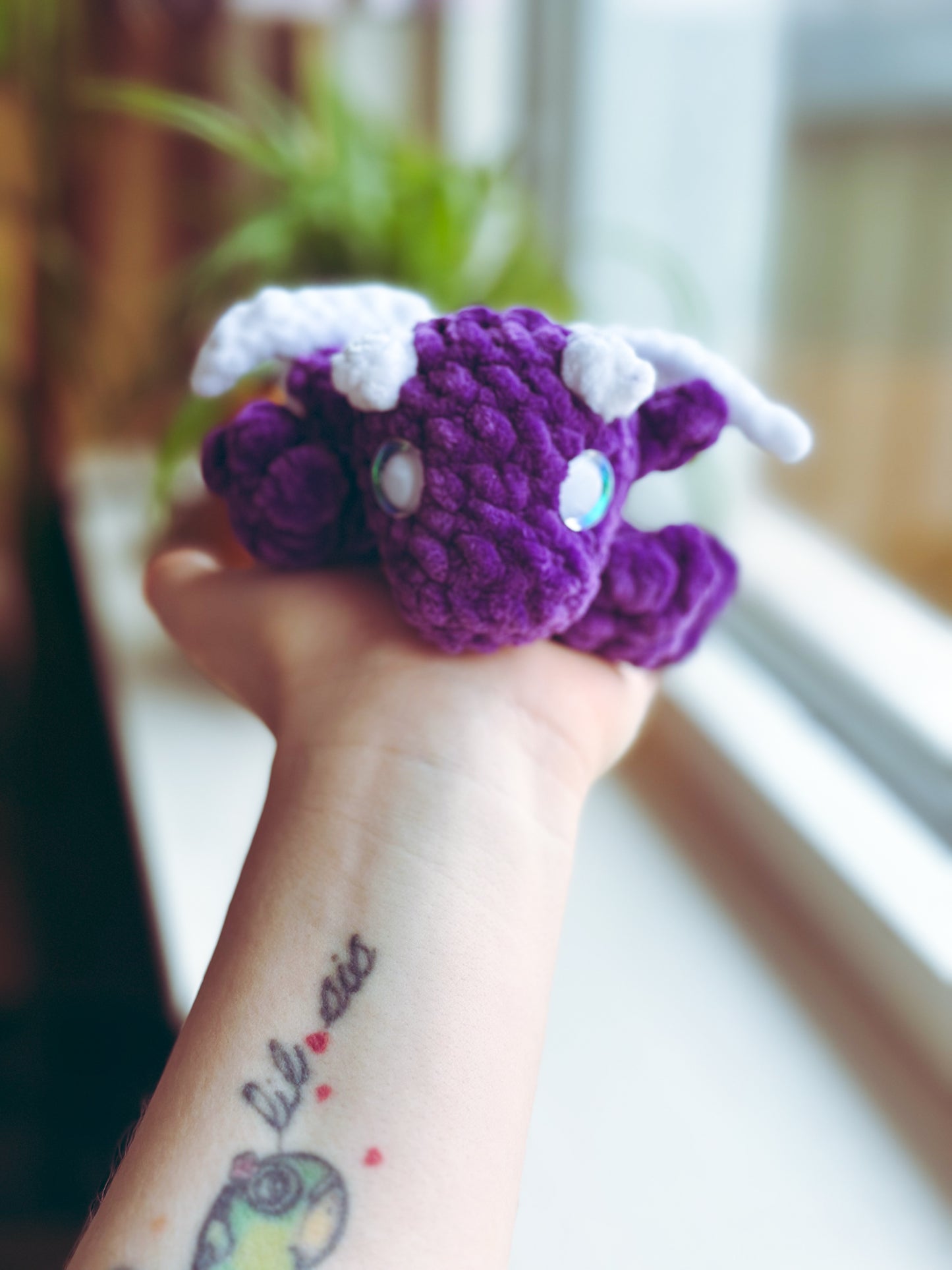 Pocket-Sized Dragon of Cuddles