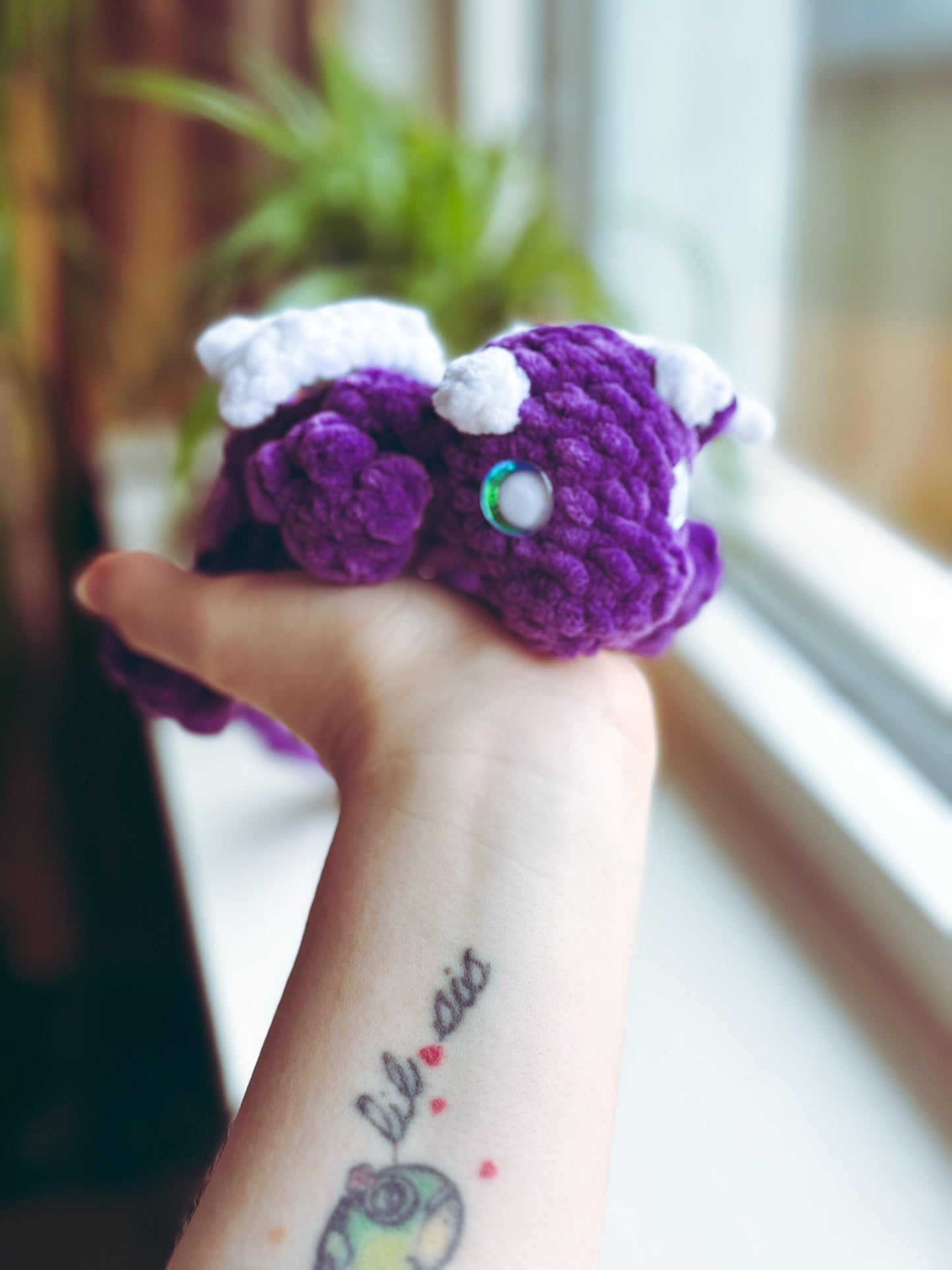 Pocket-Sized Dragon of Cuddles