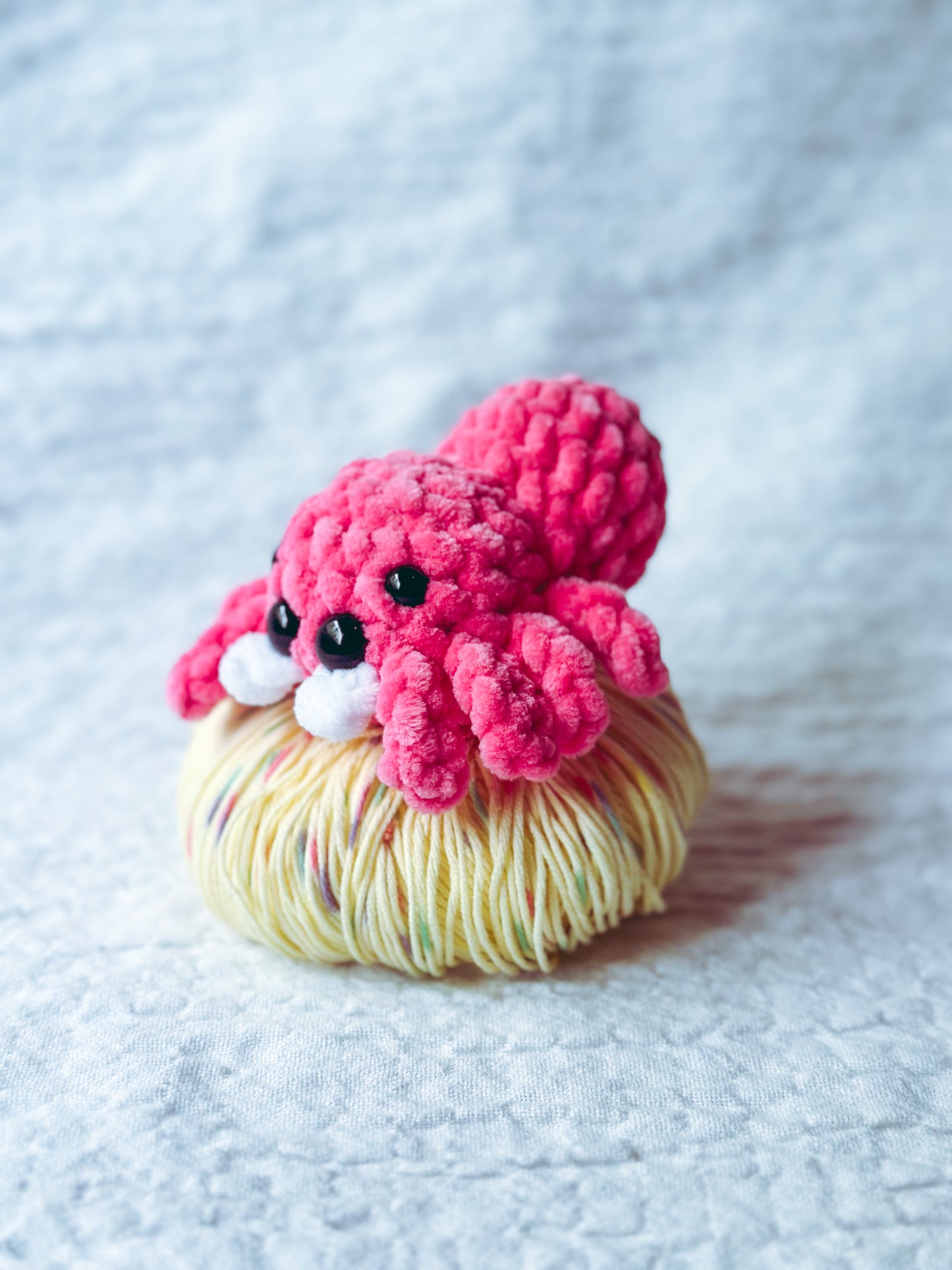 🕷️ Lil’ Bouncer – Pocket Jumping Spider